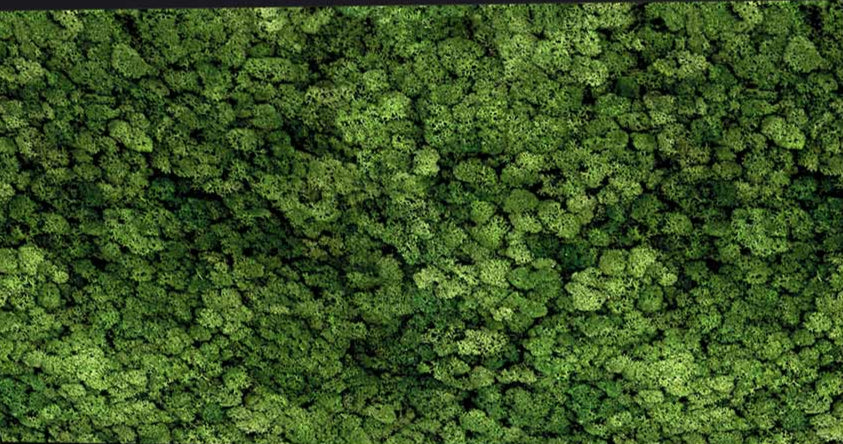 Mosramme | GRID-accessories