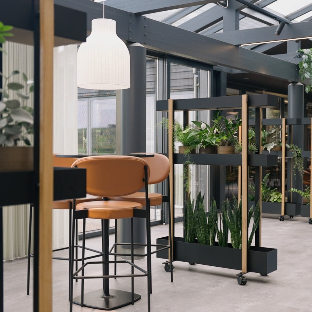 Room Dividers