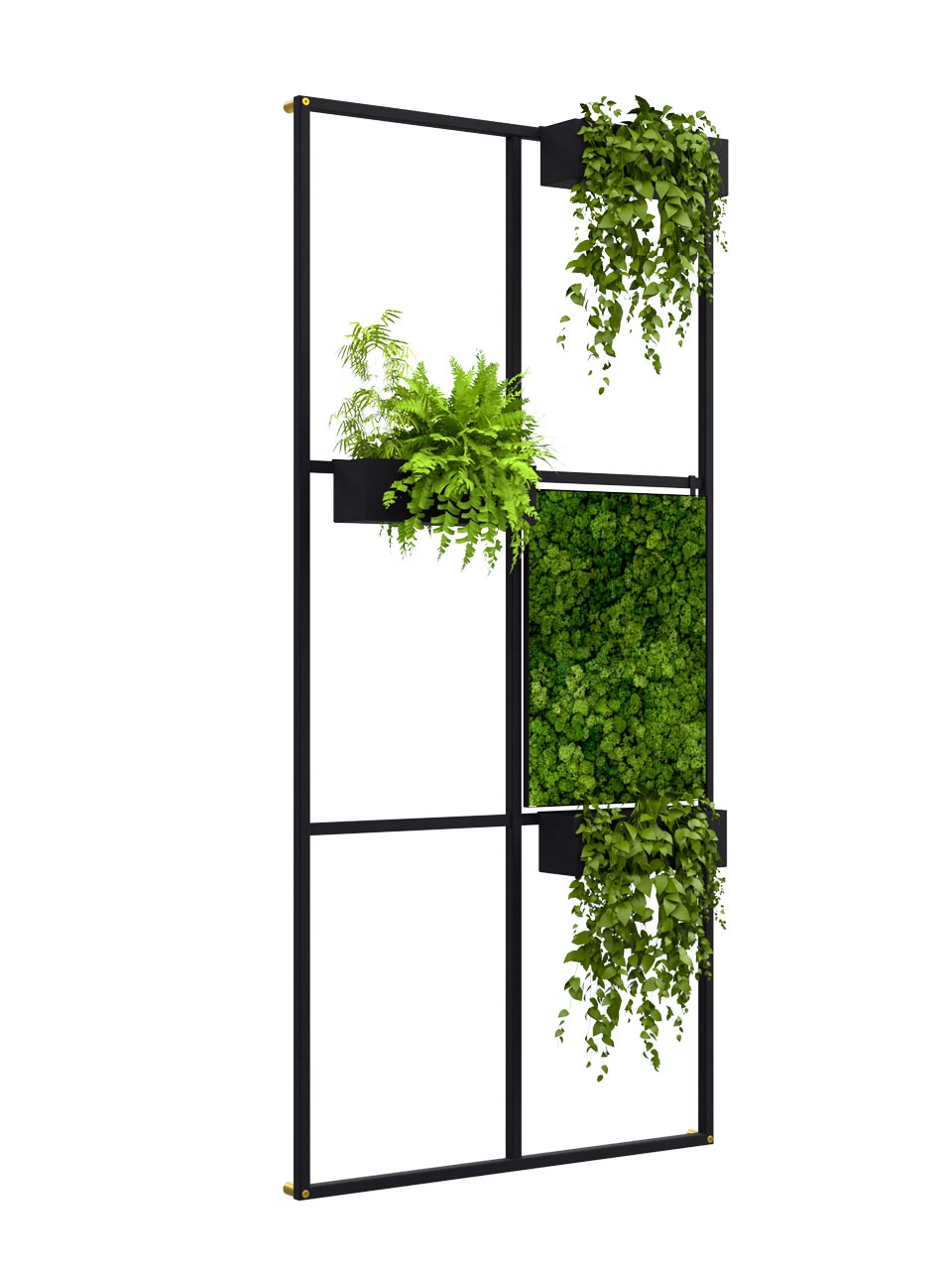 L6 | Wall solution