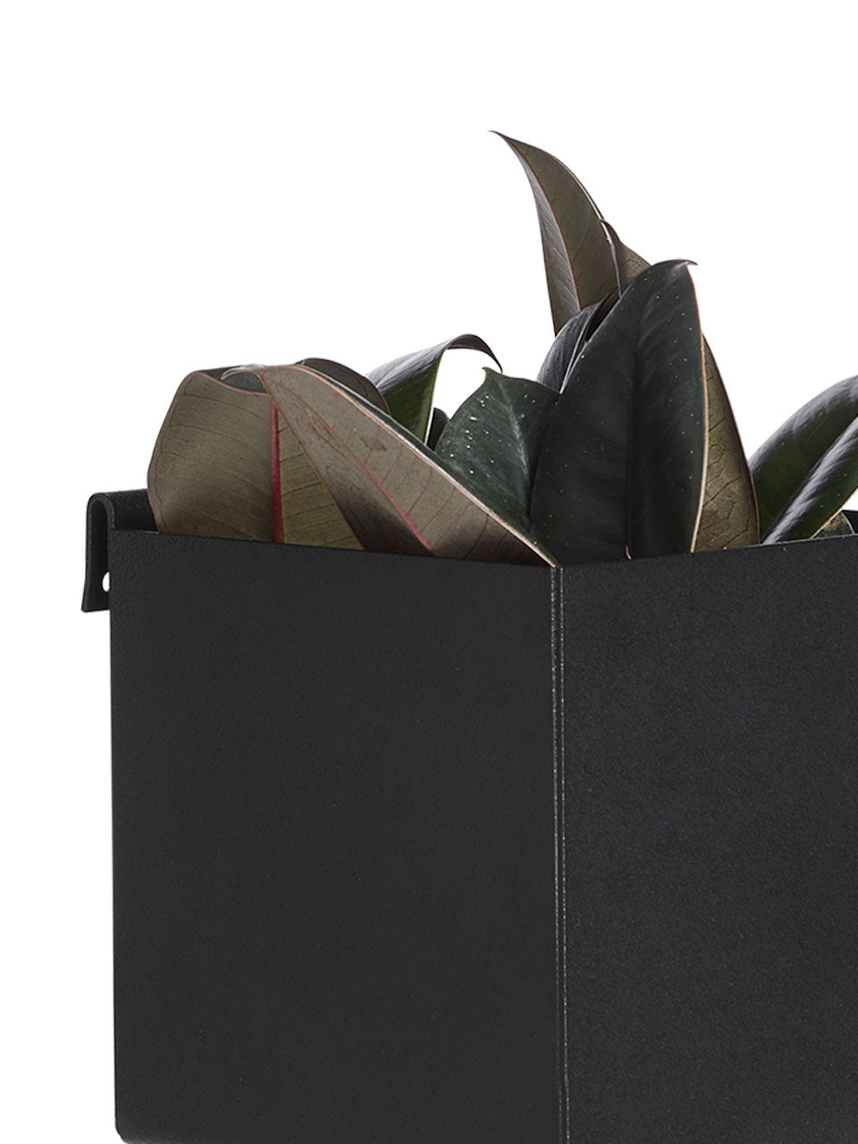 Raw Solution, Perfekt dekorationskasse til kunstige planter og opbevaring, udformet i pulverlakeret stål