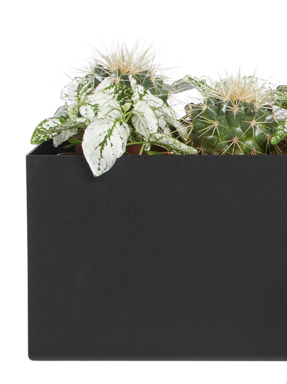 Raw Solutions store dekorationskasse til kunstige planter og opbevaring i pulverlakeret stål.